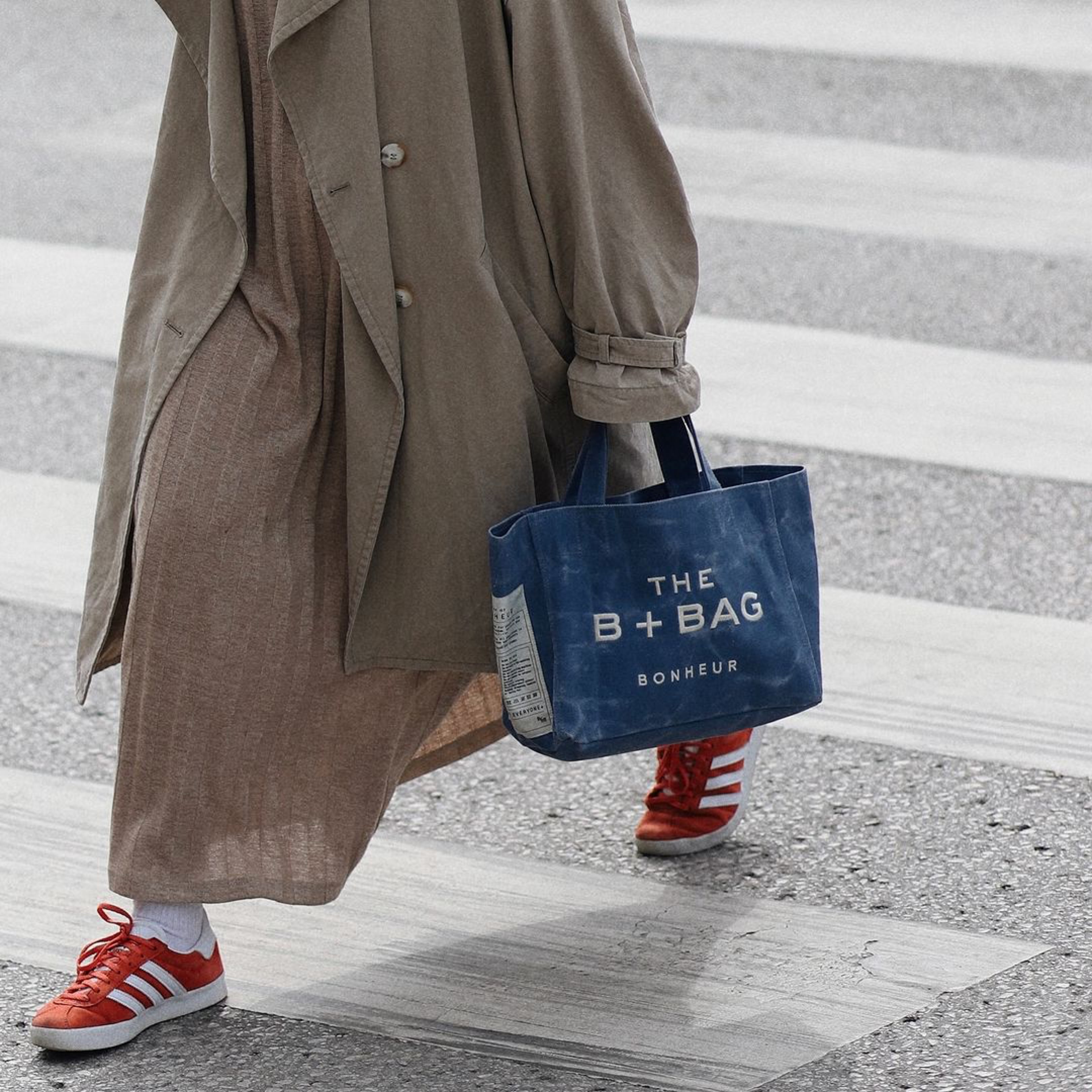 Kanvas Parisian Blue Çanta