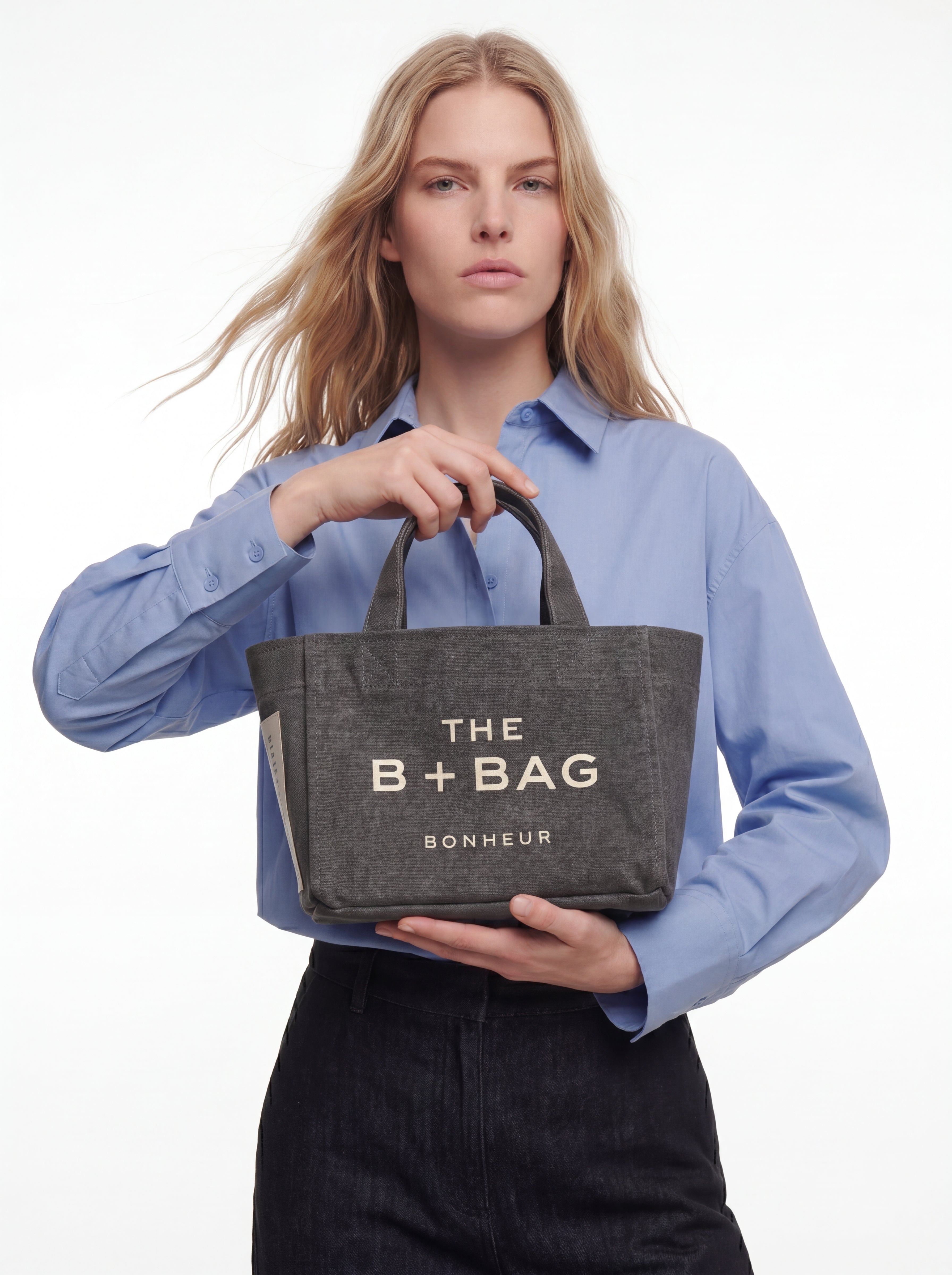 Canvas Ghost Gray Small Tote Bag