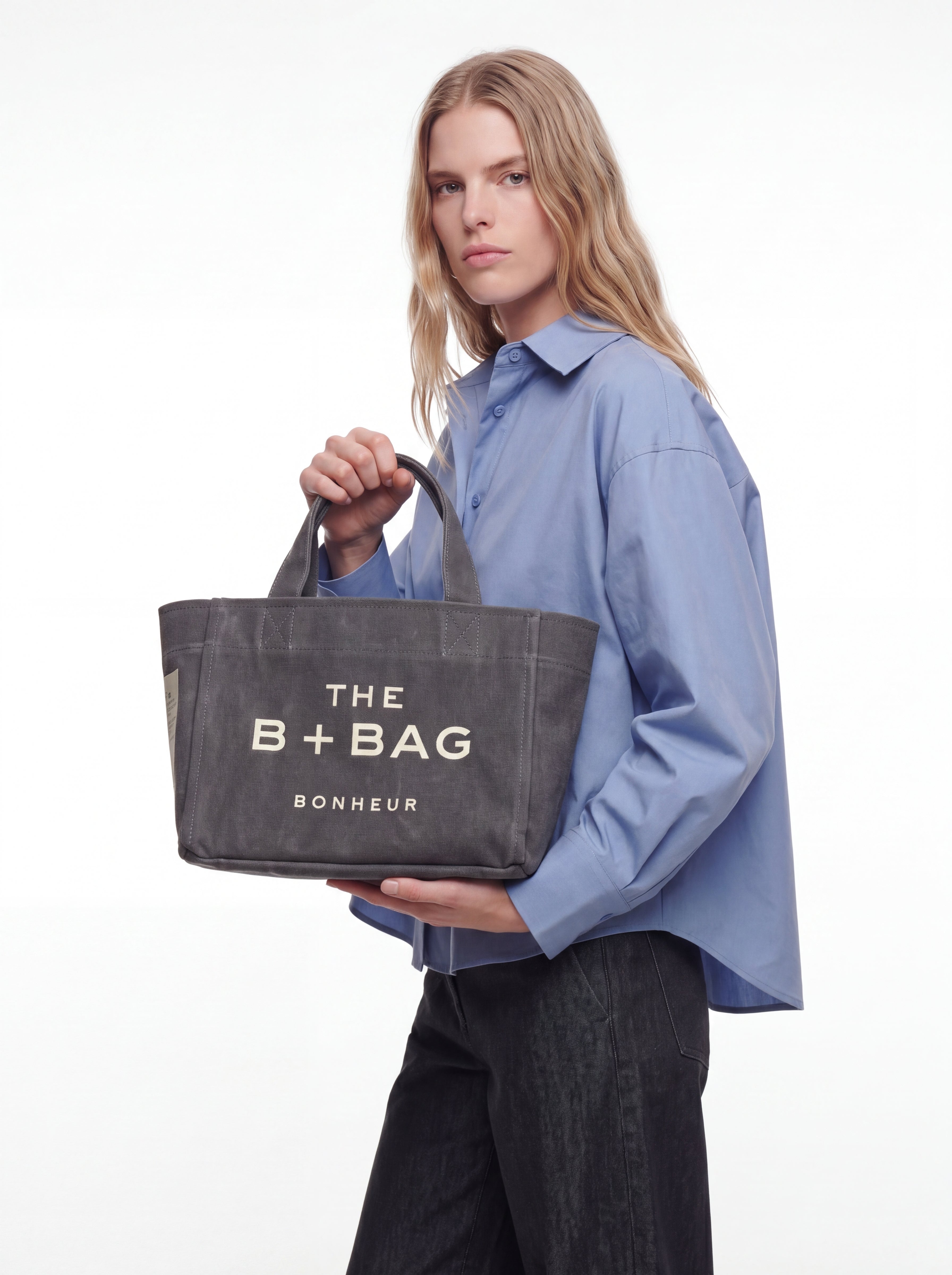 Canvas Ghost Gray Small Tote Bag